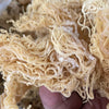 Gold Seamoss - Wholesale