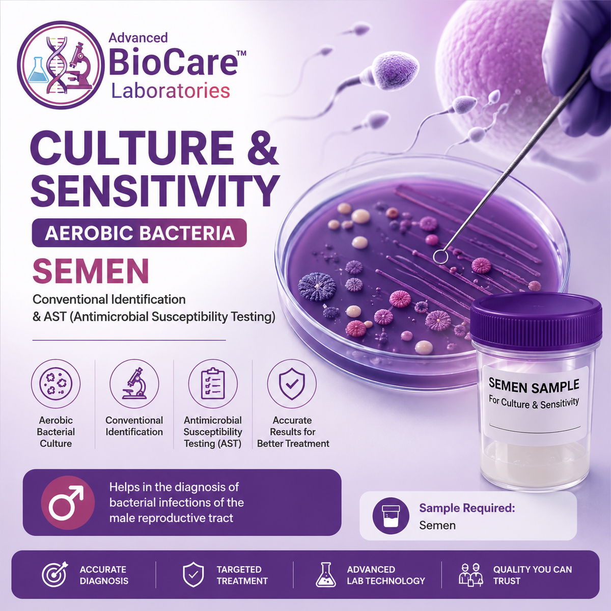 Culture & Sensitivity, Aerobic bacteria, Semen, Conventional Identification & AST