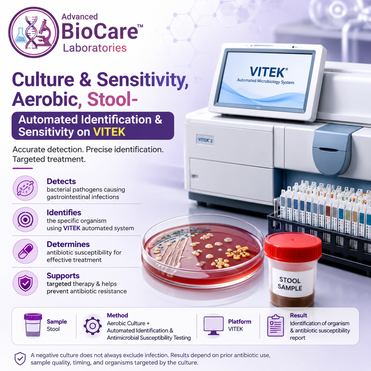 Culture & Sensitivity, Aerobic, Stool- Automated Identification & Sensitivity on Vitek