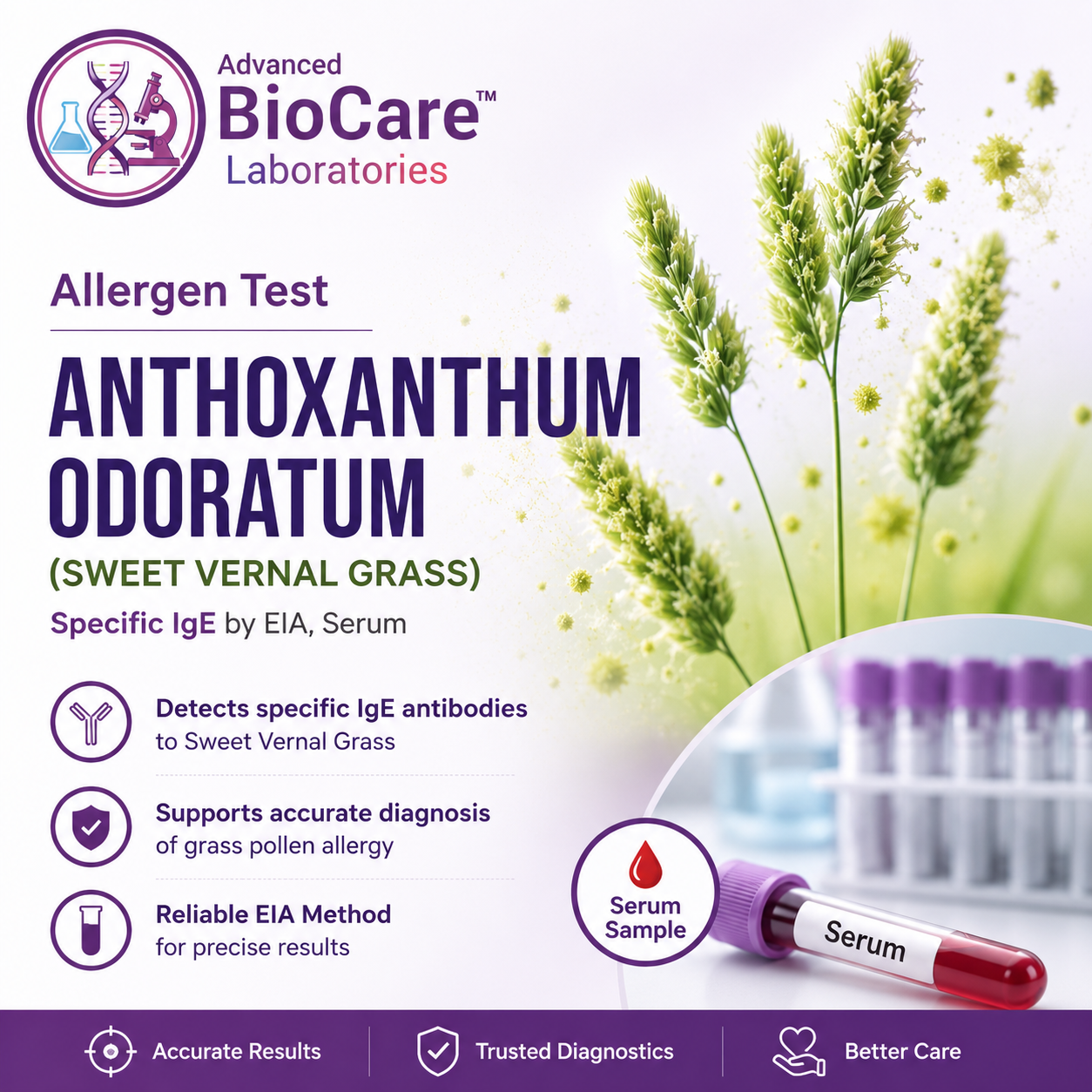 Allergen - ANTHOXANTHUM ODORATUM (SWEET VERNAL GRASS) by EIA, Serum