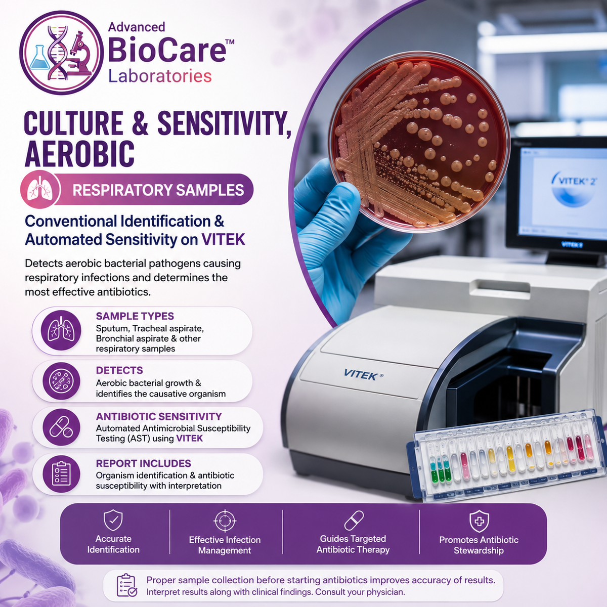 Culture & Sensitivity, Aerobic, Respiratory samples- Conventional Identification & Automated Sensitivity on Vitek