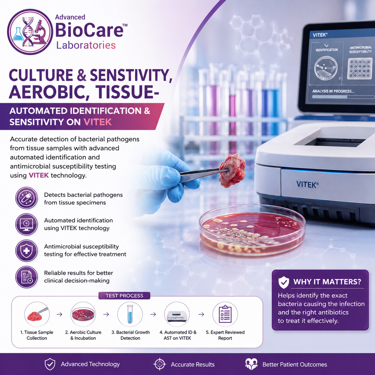 Culture & Sensitivity, Aerobic, Tissue- Automated Identification & Sensitivity on Vitek