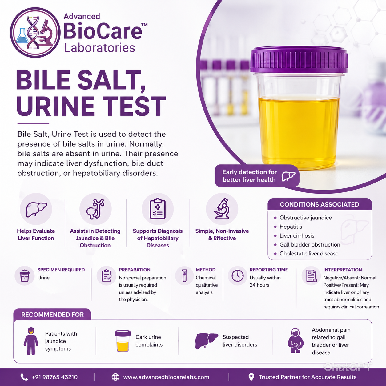 Bile Salt / Bile Pigment Urine