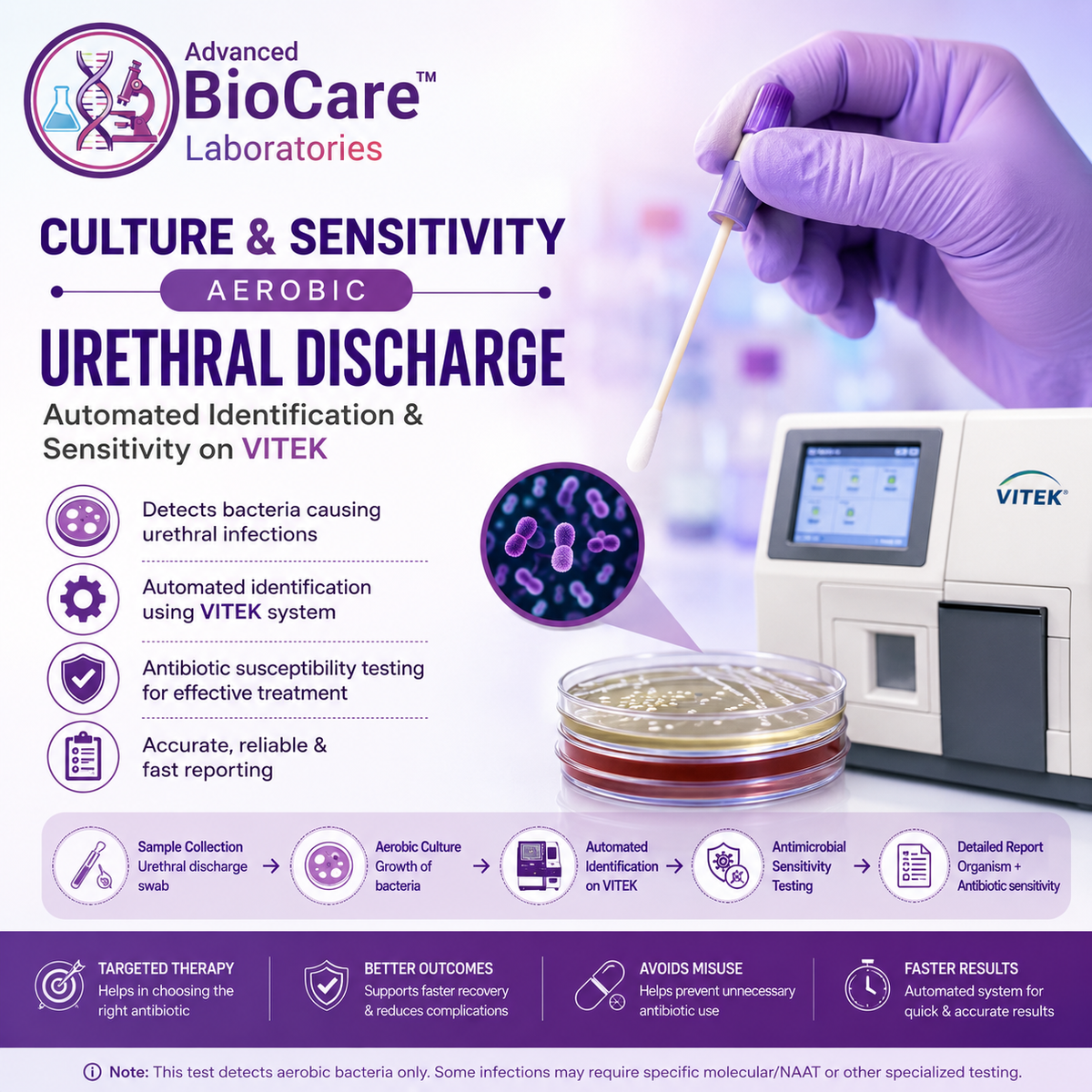 Culture & Sensitivity, Aerobic, Urethral Discharge- Automated Identification & Sensitivity on Vitek