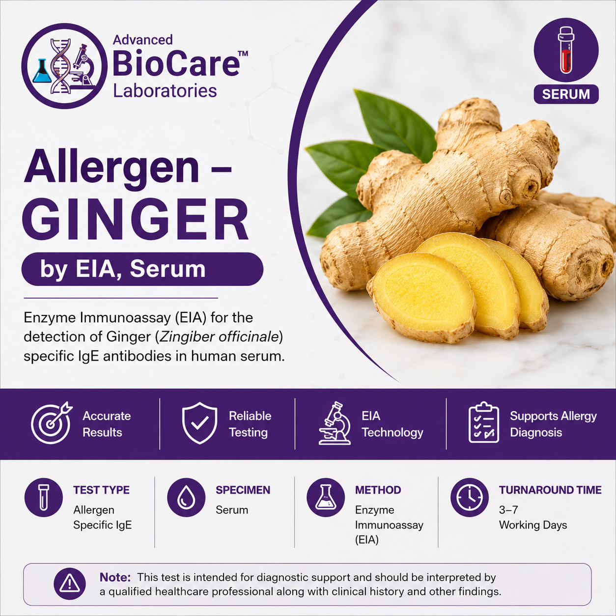 Allergen - GINGER by EIA, Serum