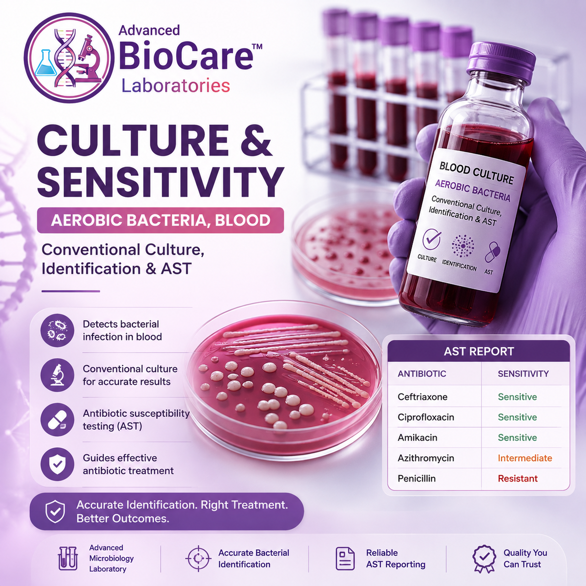 Culture & Sensitivity, Aerobic Bacteria, Blood, Conventional Culture, Identification & AST