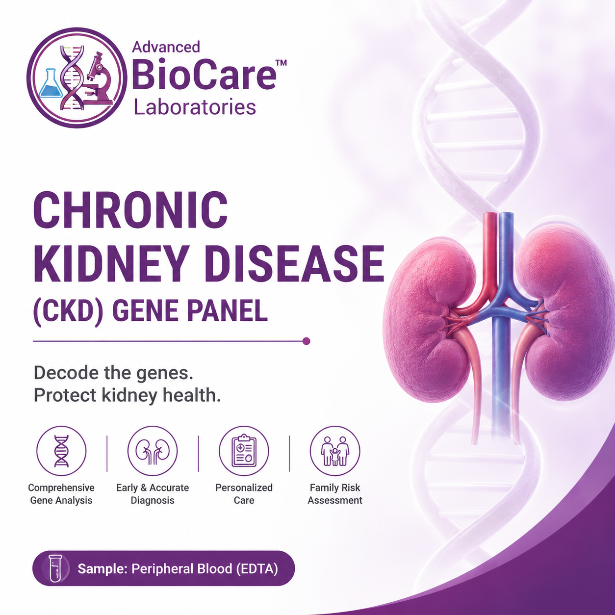 Chronic Kidney Disease(CKD) gene panel