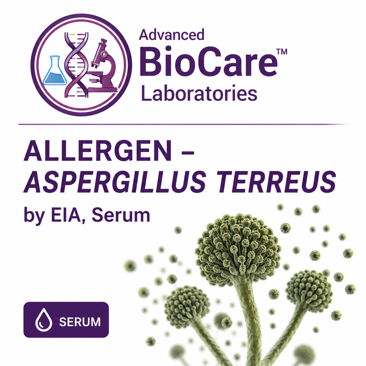 Allergen - ASPERGILLUS TERREUS by EIA, Serum
