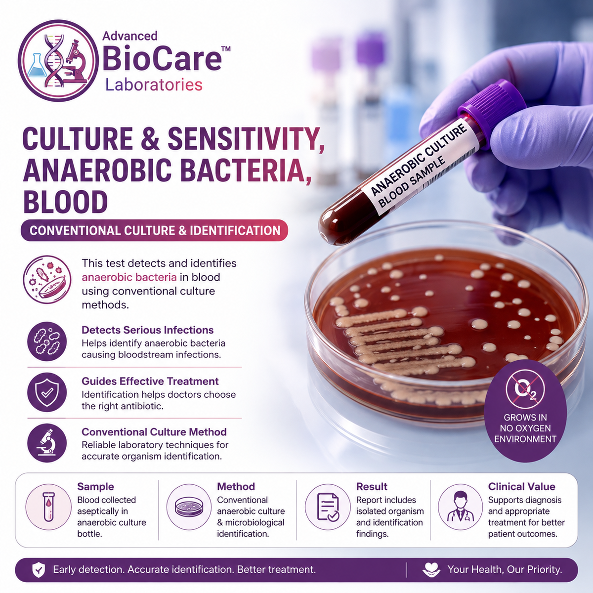 Culture & Sensitivity, Anaerobic Bacteria, Blood, Conventional Culture & Identification