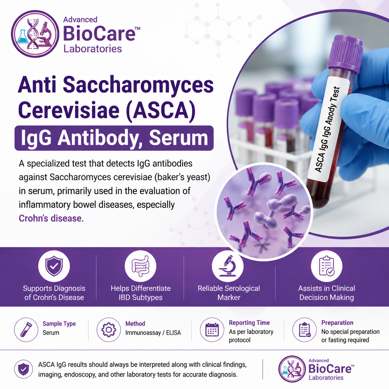 Anti Saccharomyces Cervisae (ASCA) IgG Antibody, Serum