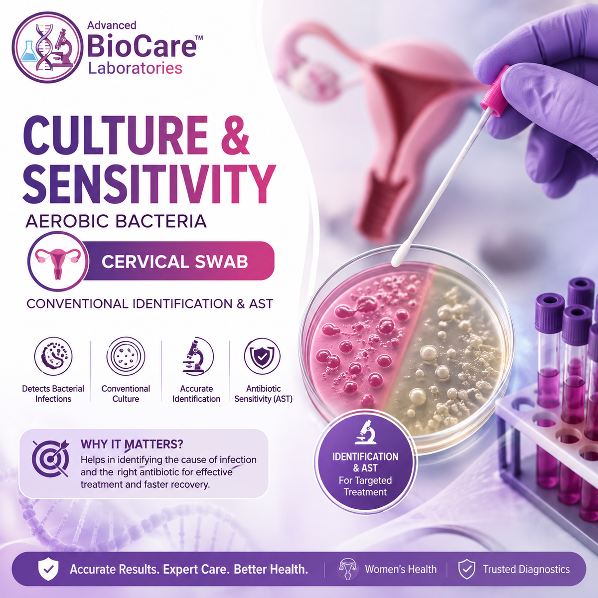 Culture & Sensitivity, Aerobic bacteria, Cervical Swab, Conventional Identification & AST