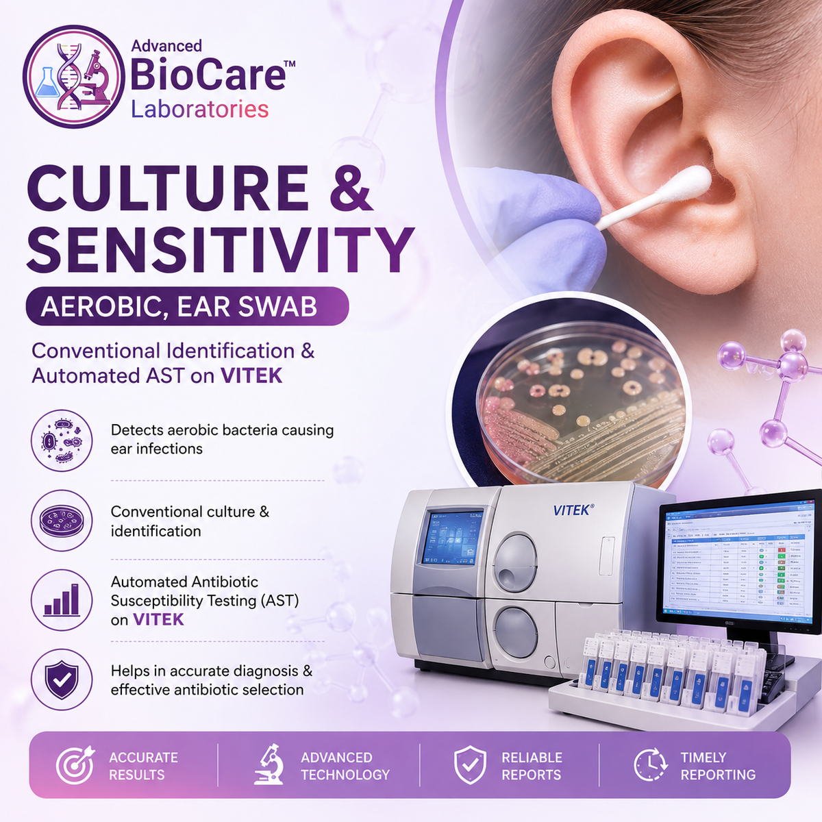 Culture & Sensitivity, Aerobic, Ear Swab- Conventional Identification & Automated AST on Vitek