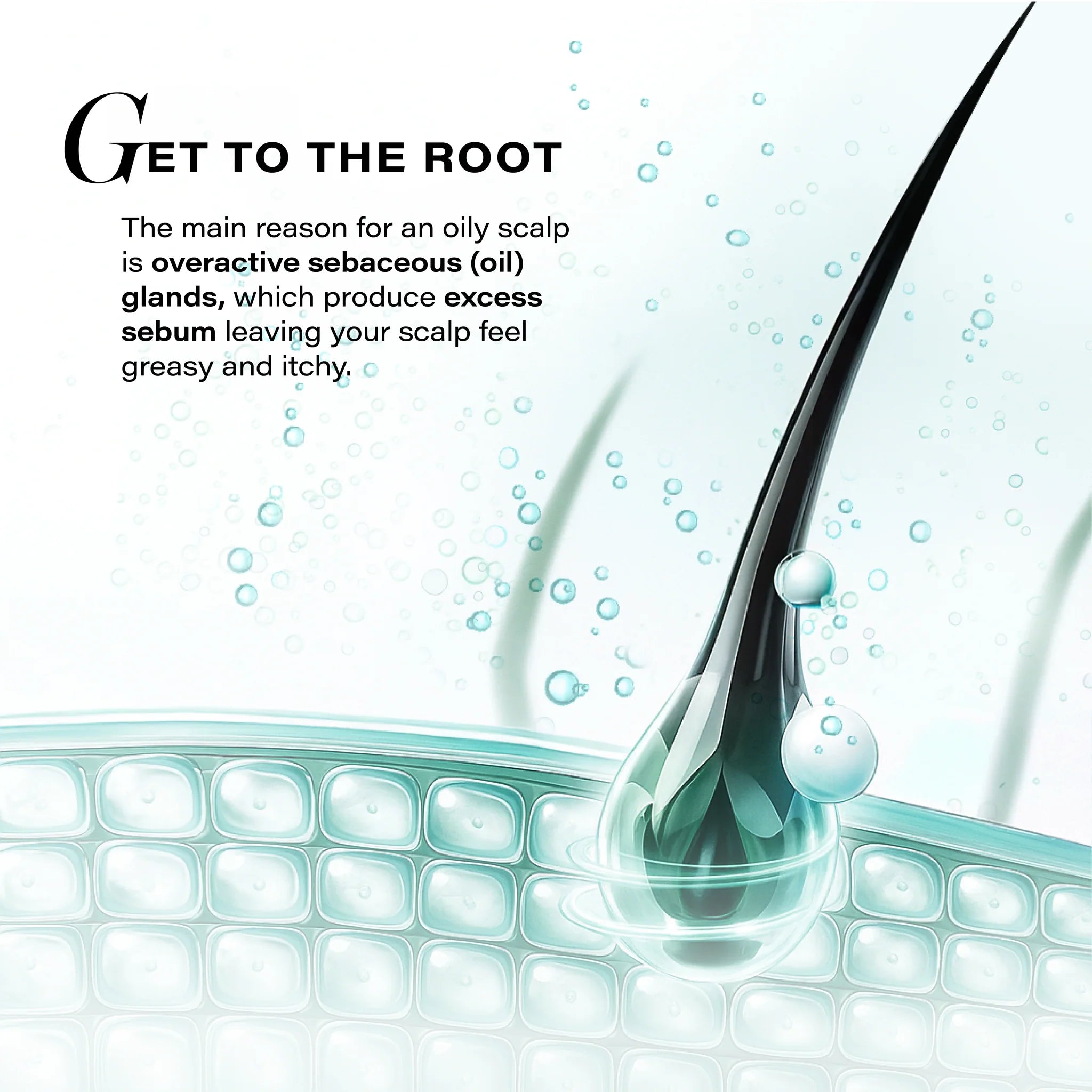 Sebosys Control Scalp Serum for 48hrs Sebum Control, 50ml