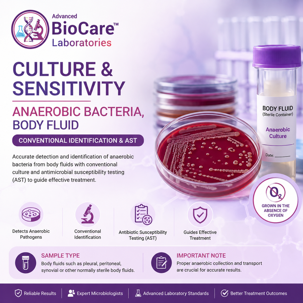 Culture & Sensitivity, Anaerobic bacteria, Body Fluid, Conventional Identification & AST