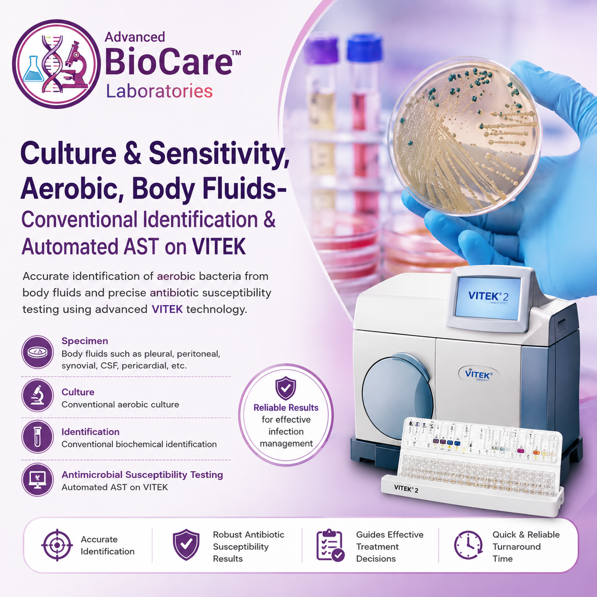 Culture & Sensitivity, Aerobic, Body Fluids- Conventional Identification & Automated AST on Vitek