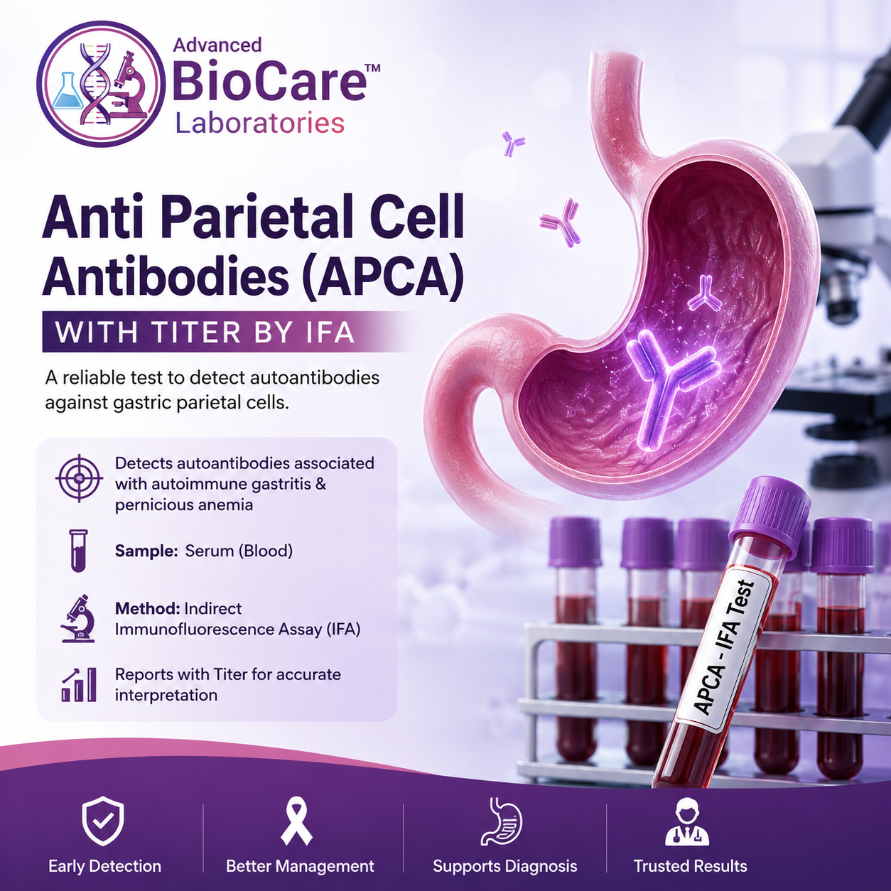 Anti Parietal Cell Antibodies (APCA) with titer by IFA