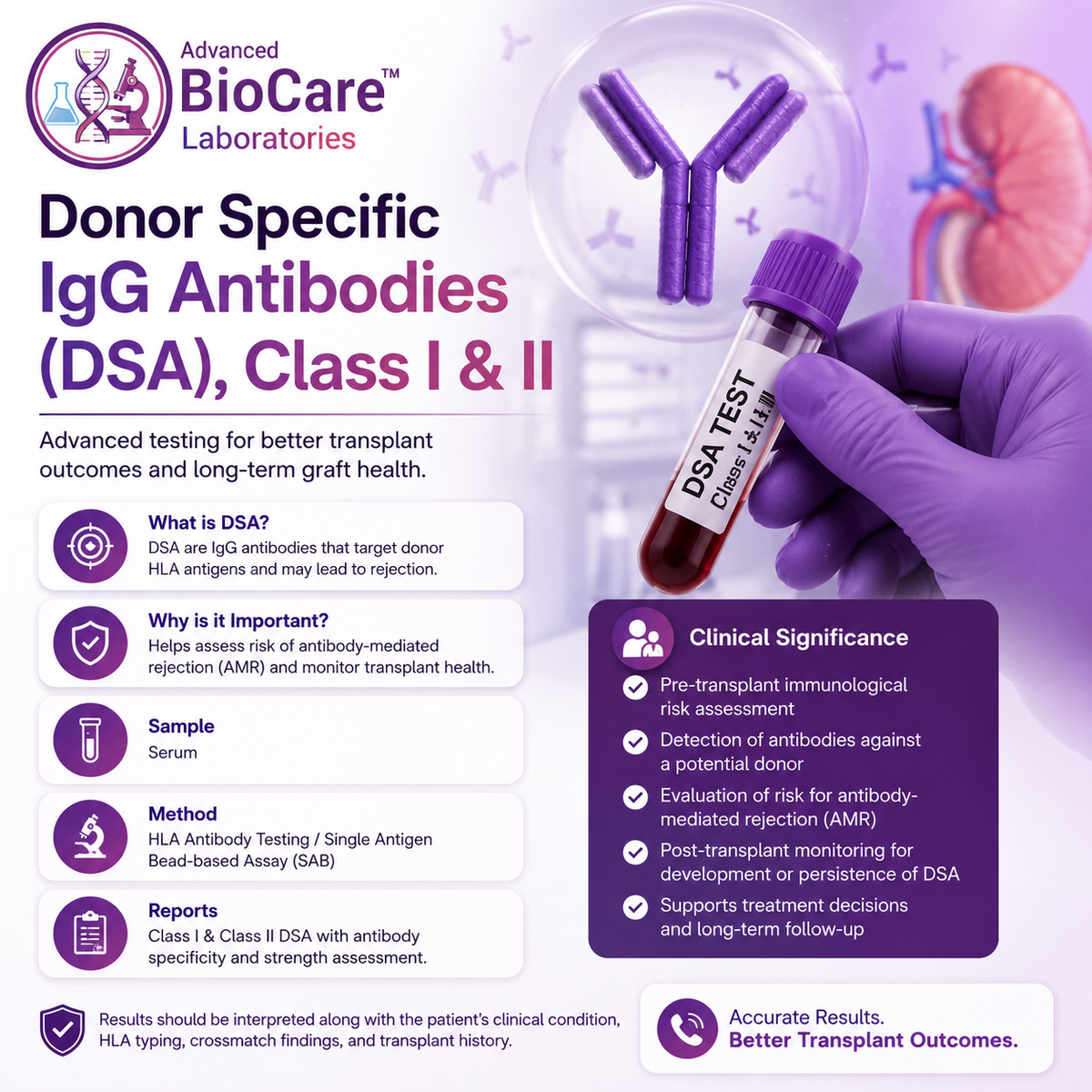 Donor Specific IgG Antibodies (DSA), Class I & II