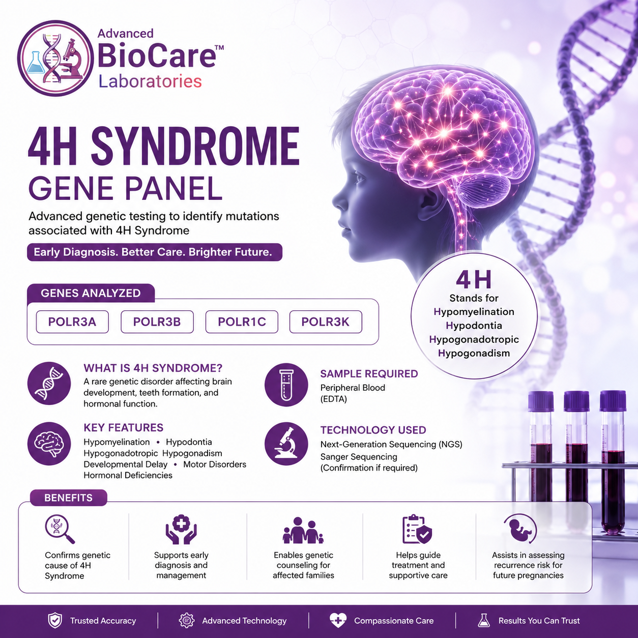 4H syndrome gene panel