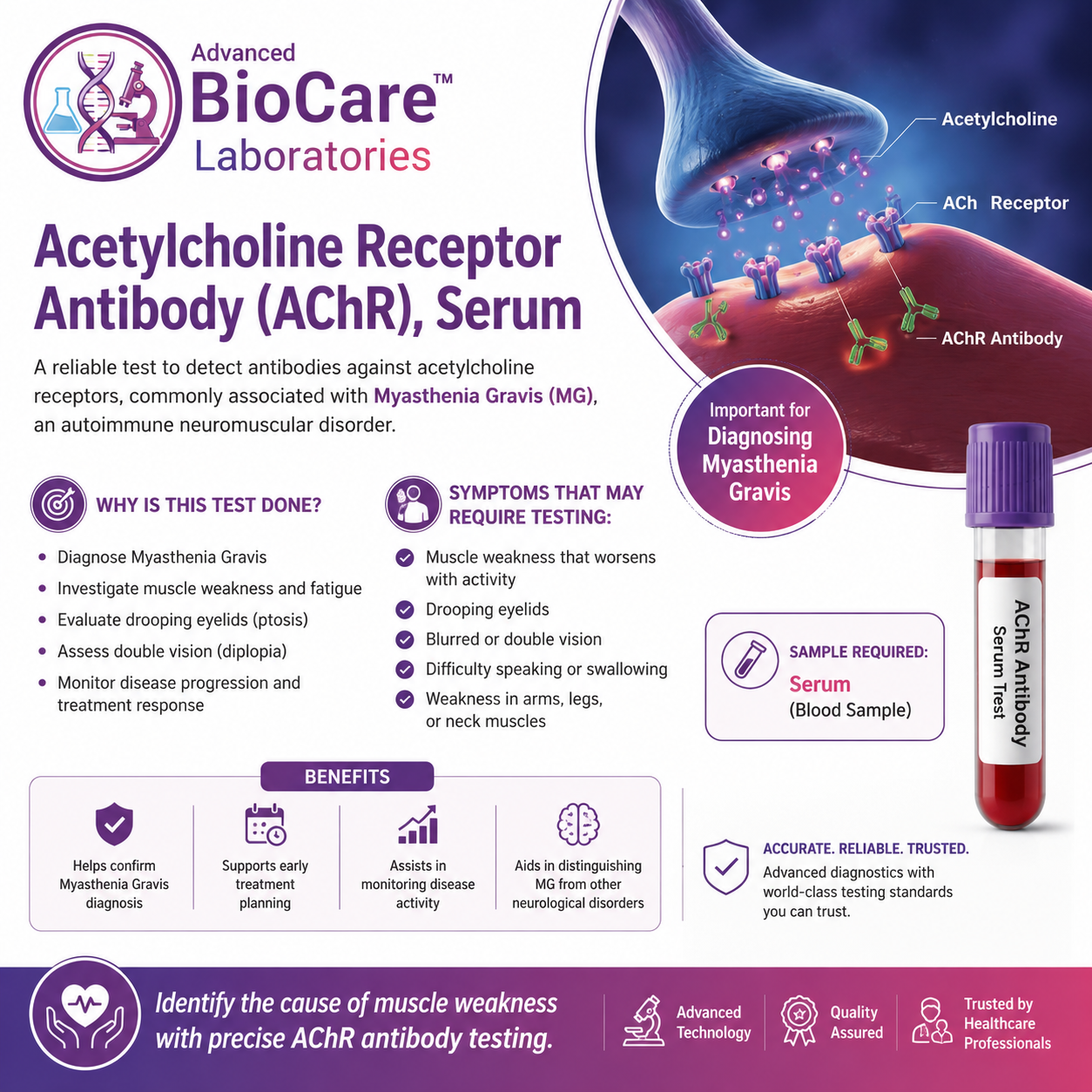 Acetylcholine Receptor Antibody (AChR), Serum