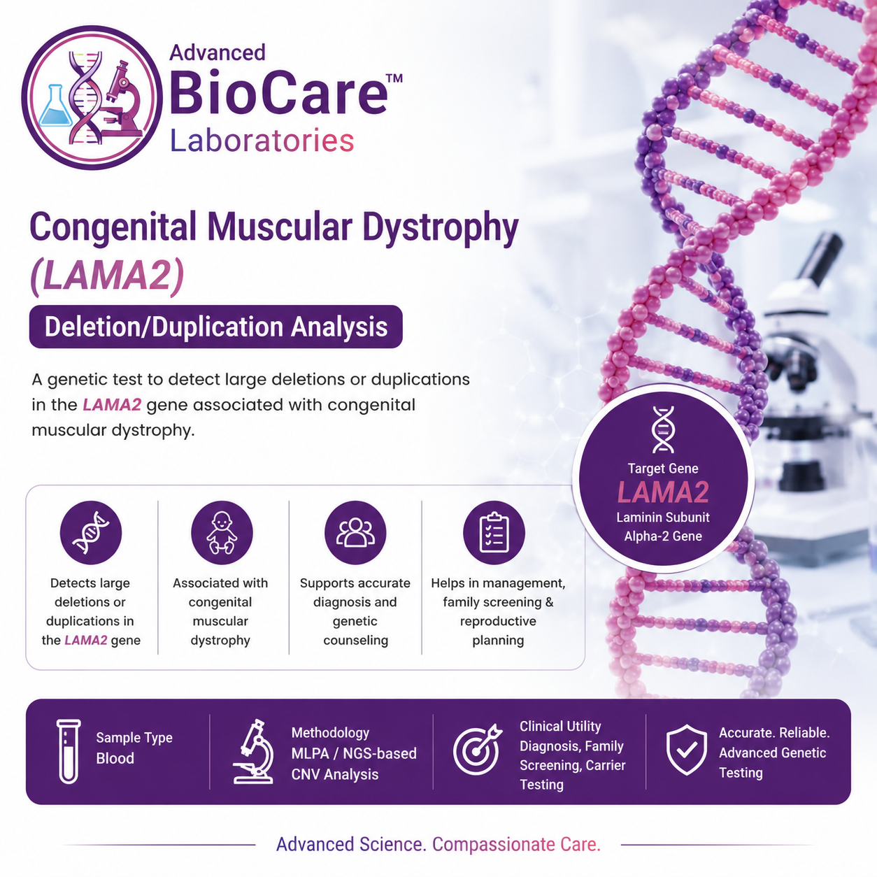 Congenital Muscular Dystrophy (LAMA2) deletion/duplication analysis
