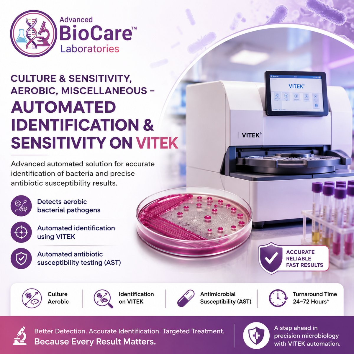 Culture & Sensitivity, Aerobic, Miscellaneous- Automated Identification & Sensitivity on Vitek