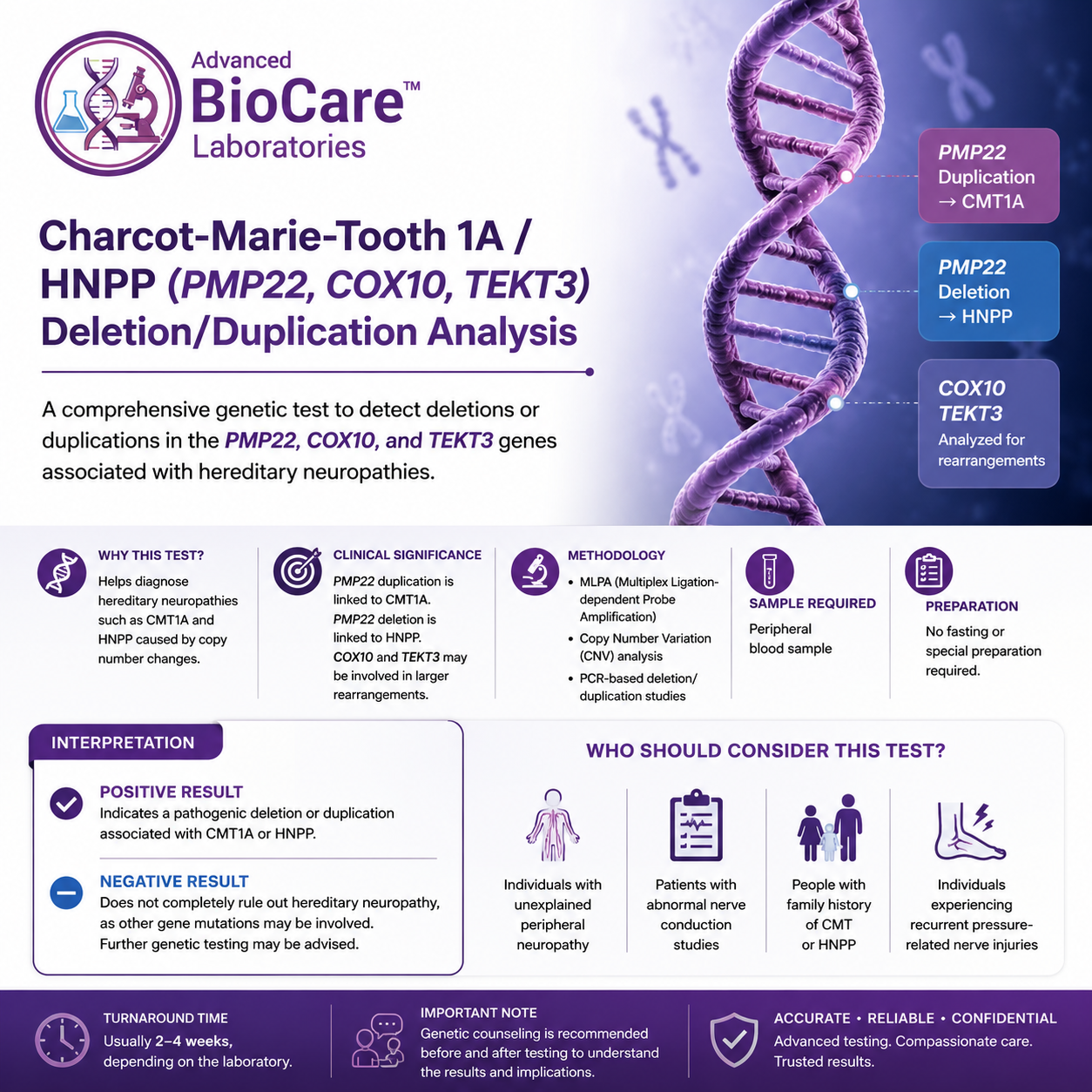 Charcot-Marie-Tooth 1A/HNPP (PMP22, COX10, TEKT3) deletion/duplication analysis