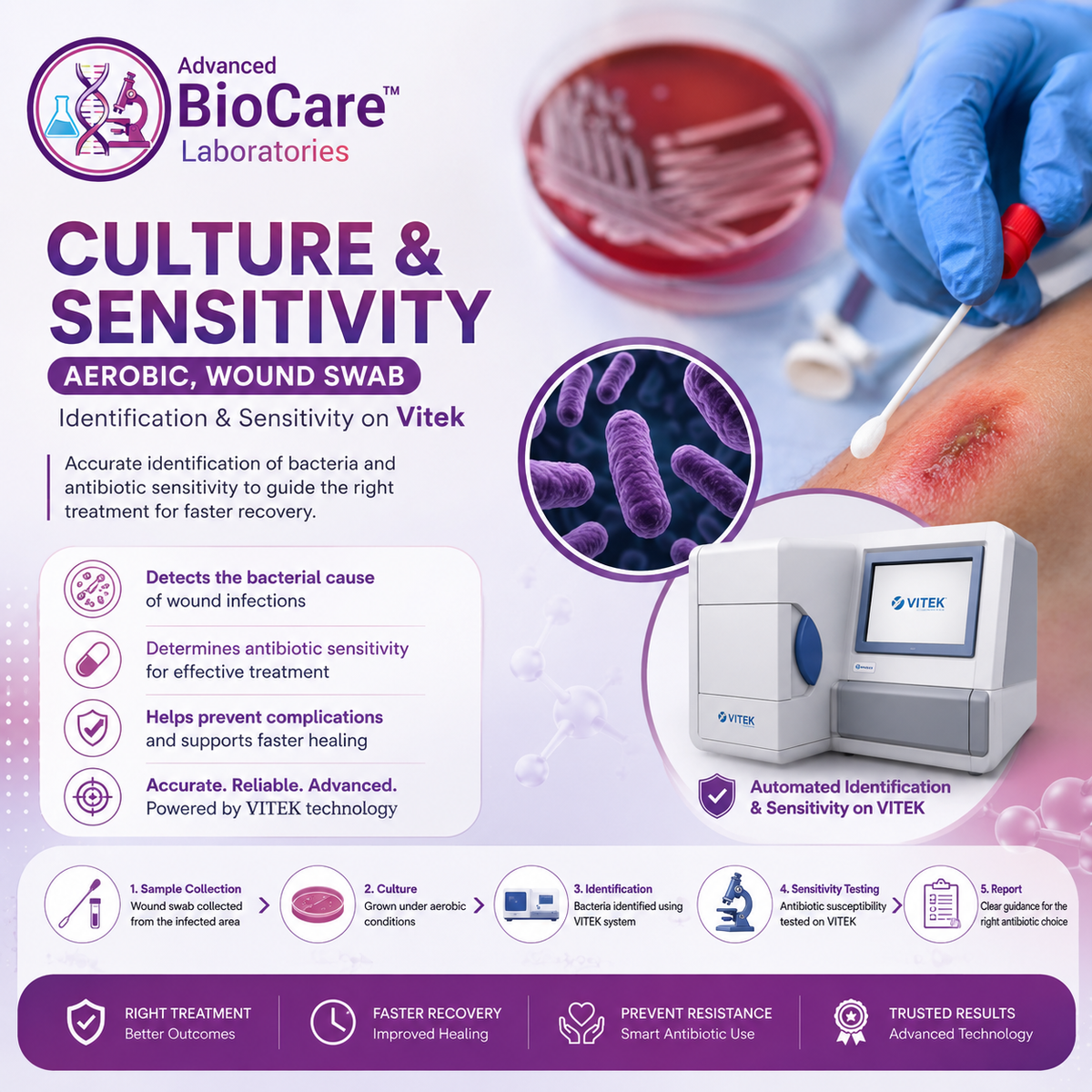 Culture & Sensitivity, Aerobic, Wound Swab- Identification & Sensitivity on Vitek