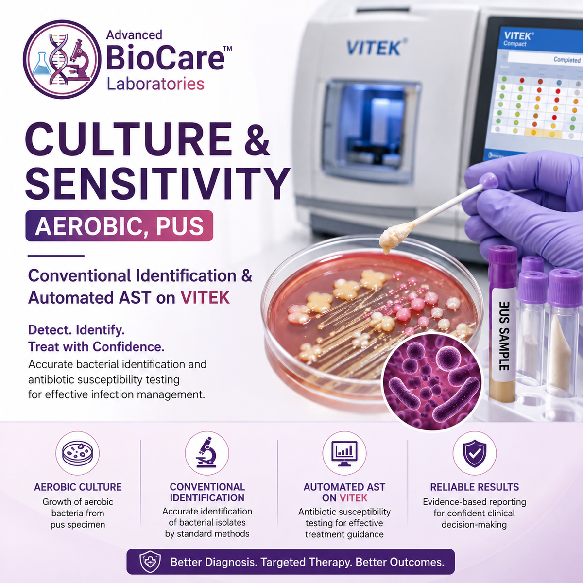 Culture & Sensitivity, Aerobic, Pus- Conventional Identification & Automated AST on Vitek
