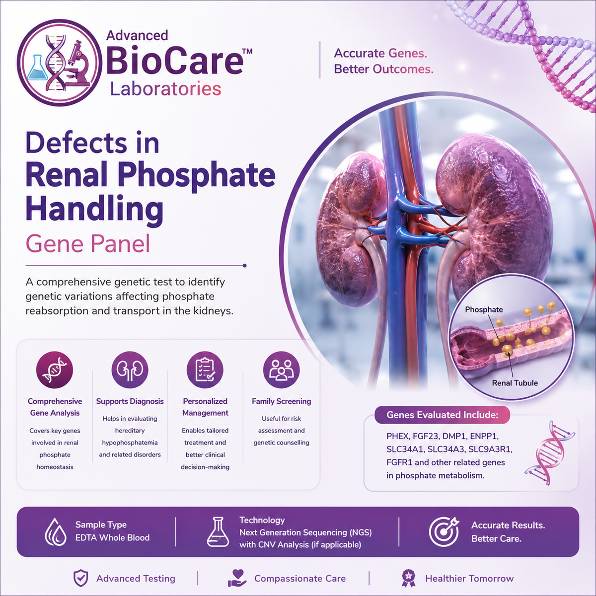 Defects in renal phosphate handling gene panel