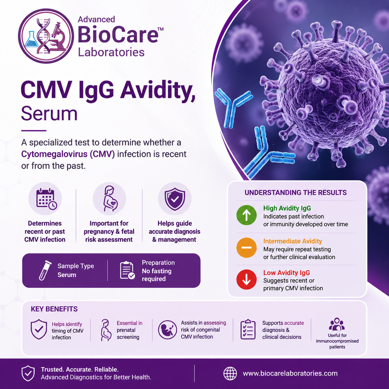 CMV IgG Avidity, Serum