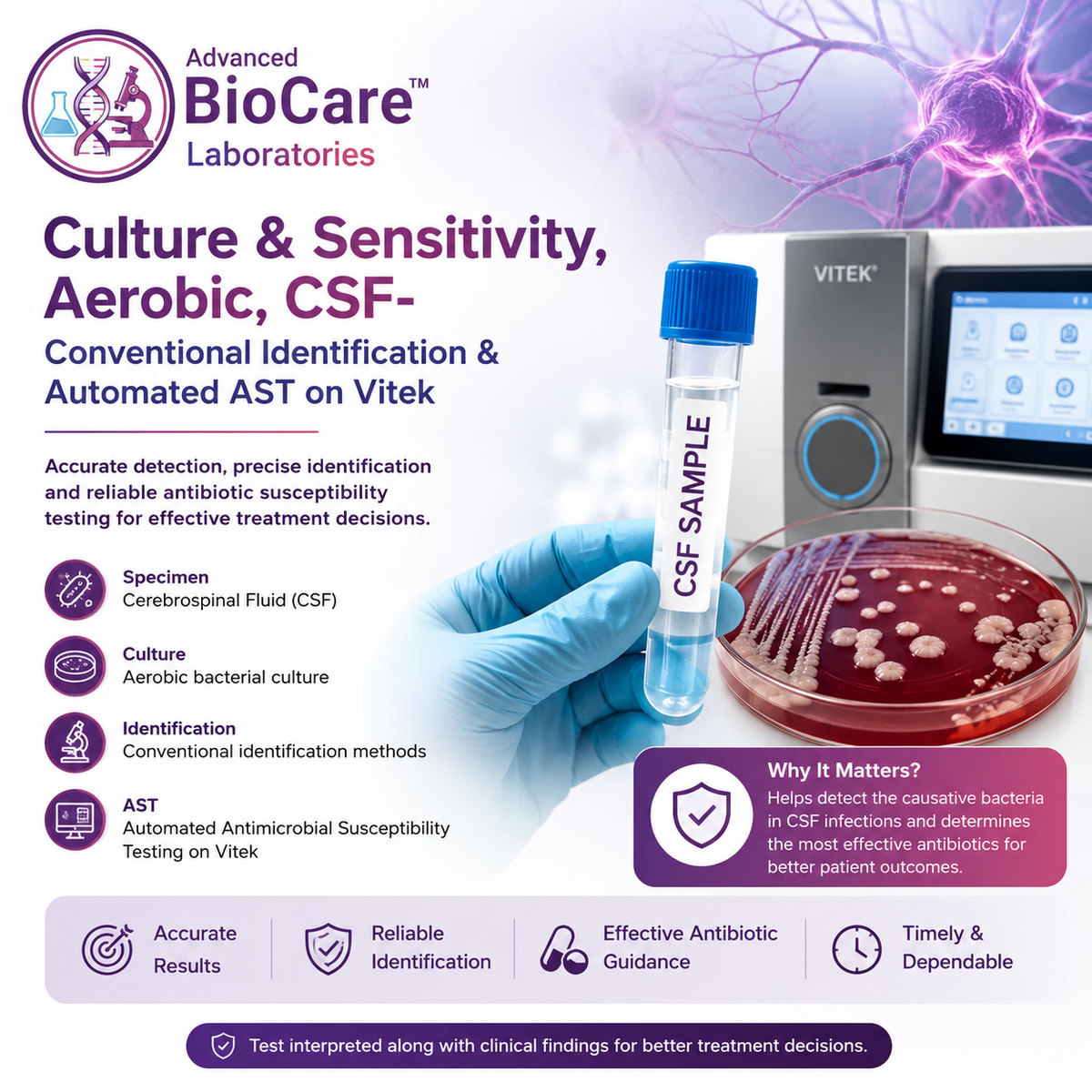 Culture & Sensitivity, Aerobic, CSF- Conventional Identification & Automated AST on Vitek