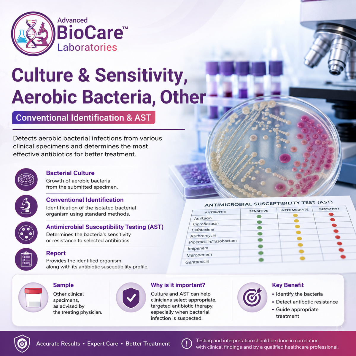 Culture & Sensitivity, Aerobic bacteria, Other, Conventional Identification & AST