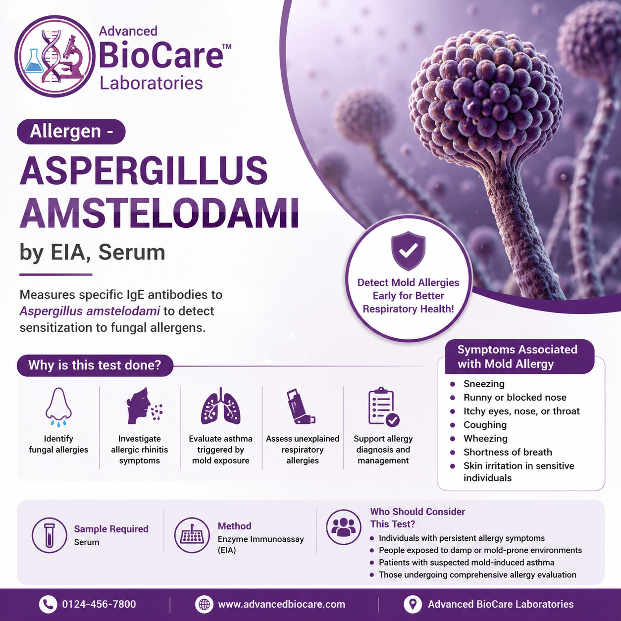 Allergen - ASPERGILLUS AMSTELODAMI by EIA, Serum