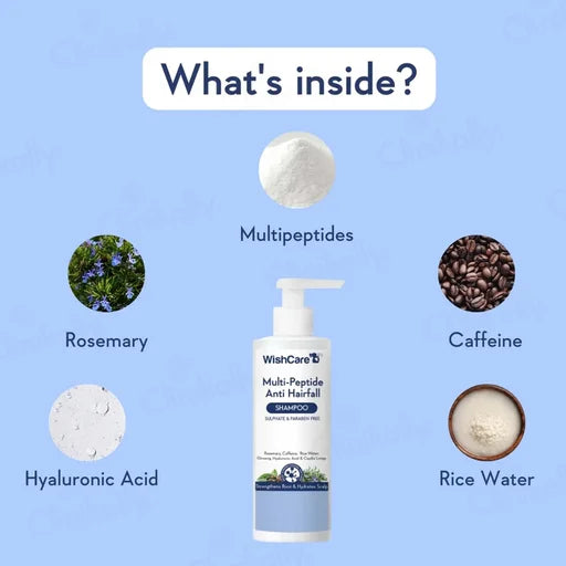 WishCare Multi-Peptide Anti Hairfall Shampoo – 250 mL | Rosemary, Peptides &amp; Rice Water