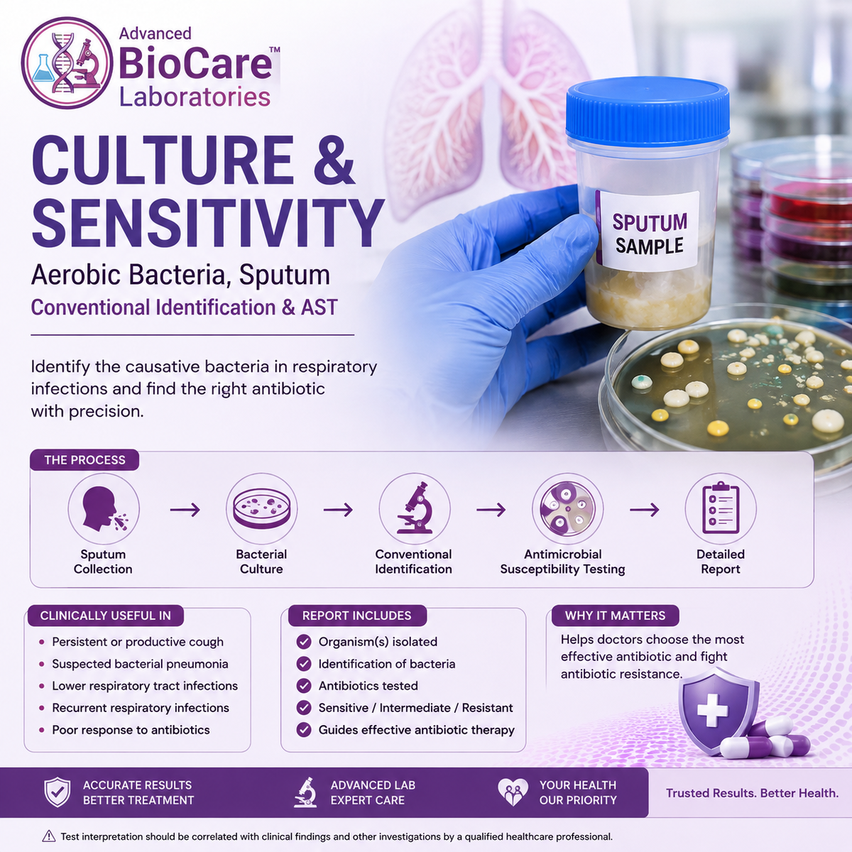 Culture & Sensitivity, Aerobic bacteria, Sputum, Conventional Identification & AST
