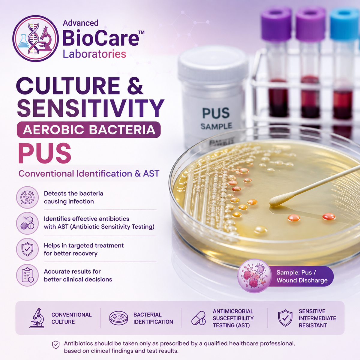 Culture & Sensitivity, Aerobic bacteria, Pus, Conventional Identification & AST