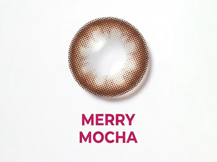 Bausch &amp; Lomb Lacelle Daily Disposable Colored Contact Lens – Merry Mocha