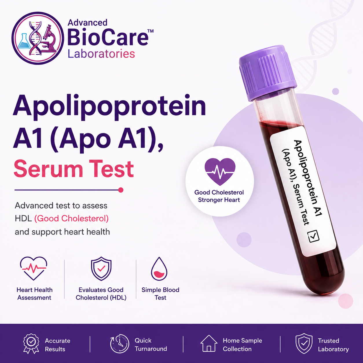 Apolipoprotein A1 (Apo A1), Serum Test