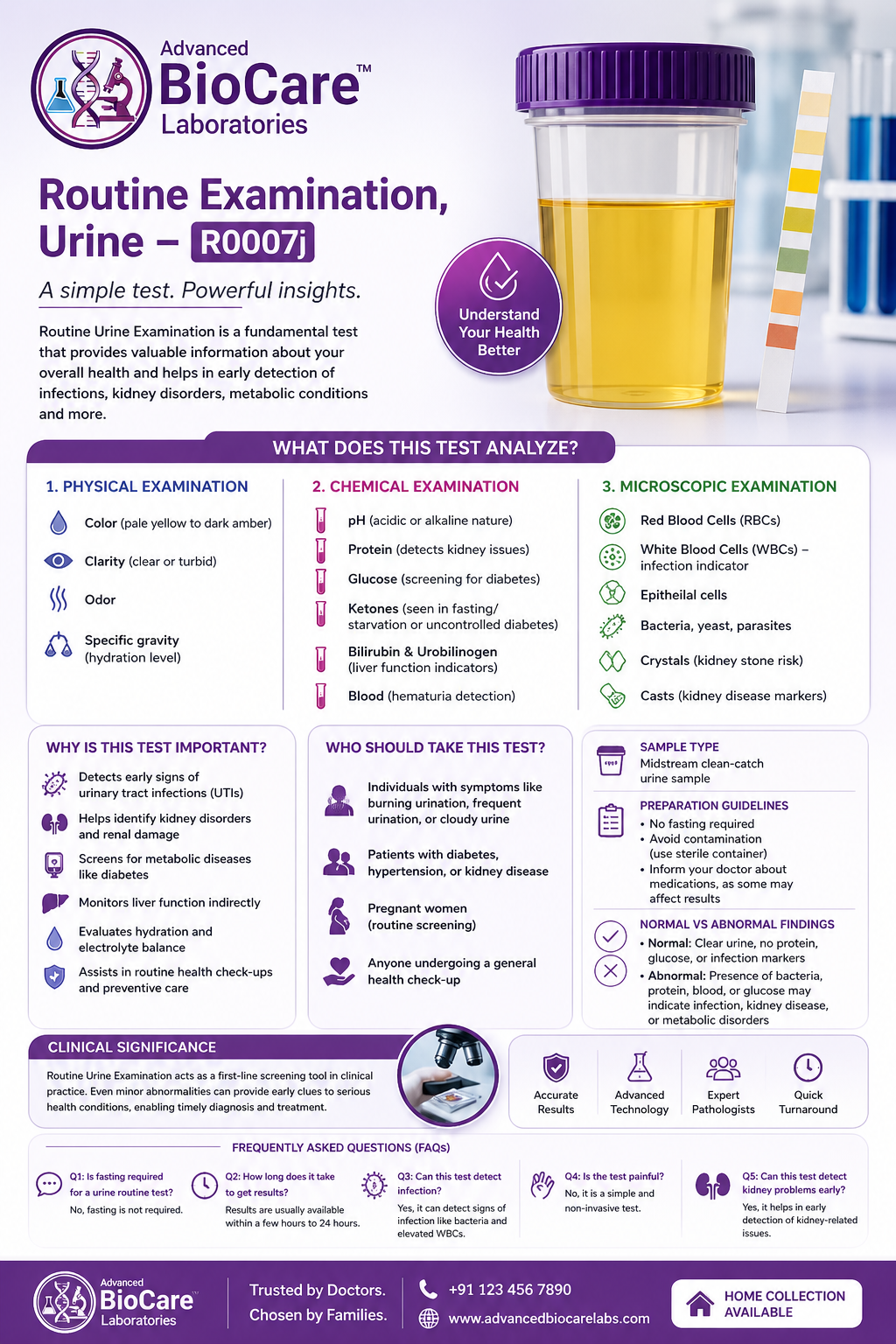 Routine Examination, Urine