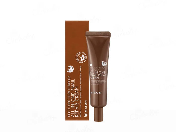Mizon Multi Function Formula All In One Snail Repair Cream