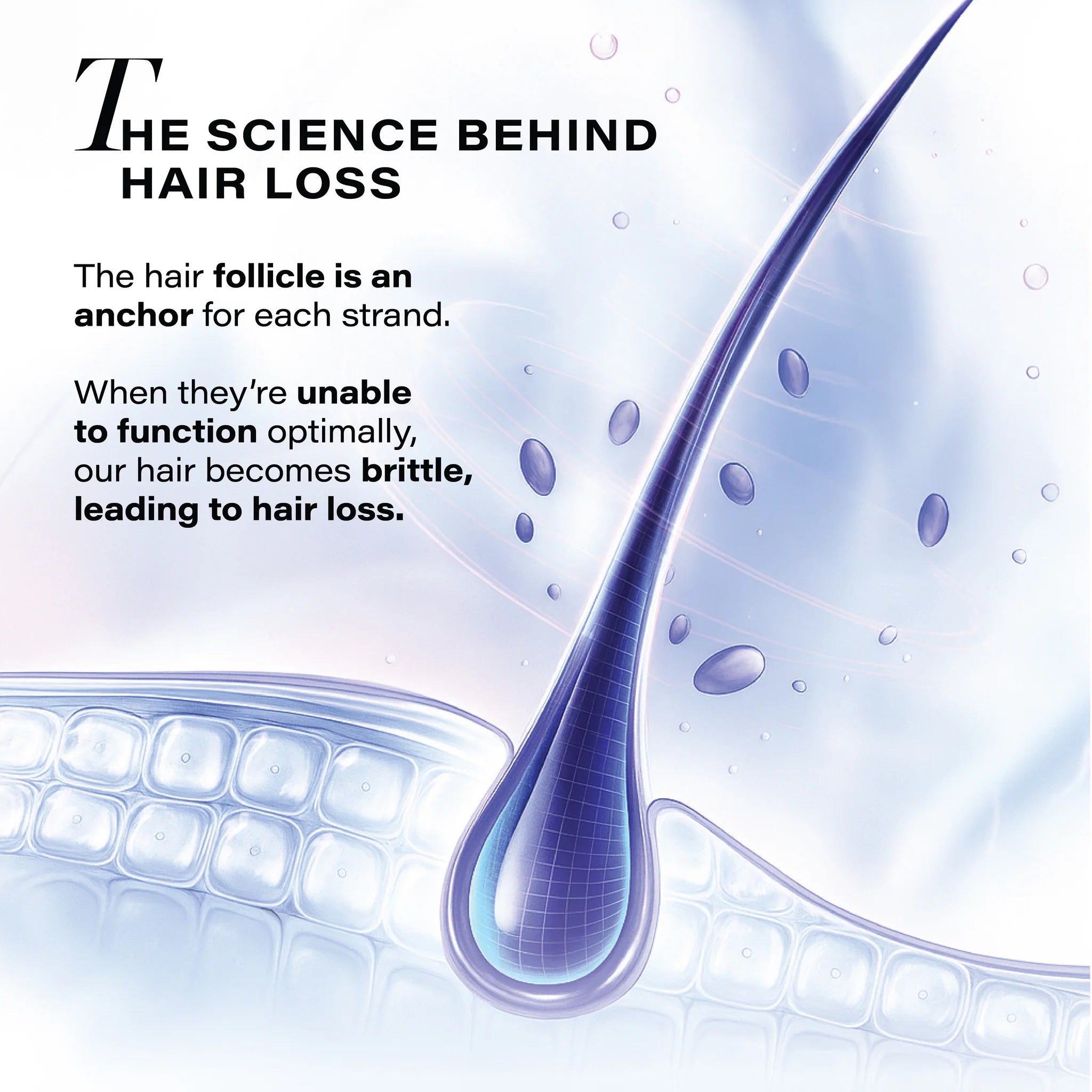 Follicle Revive Scalp Serum for Hair Growth (50ml) | 4% Dynagen + Zinc + Niacinamid