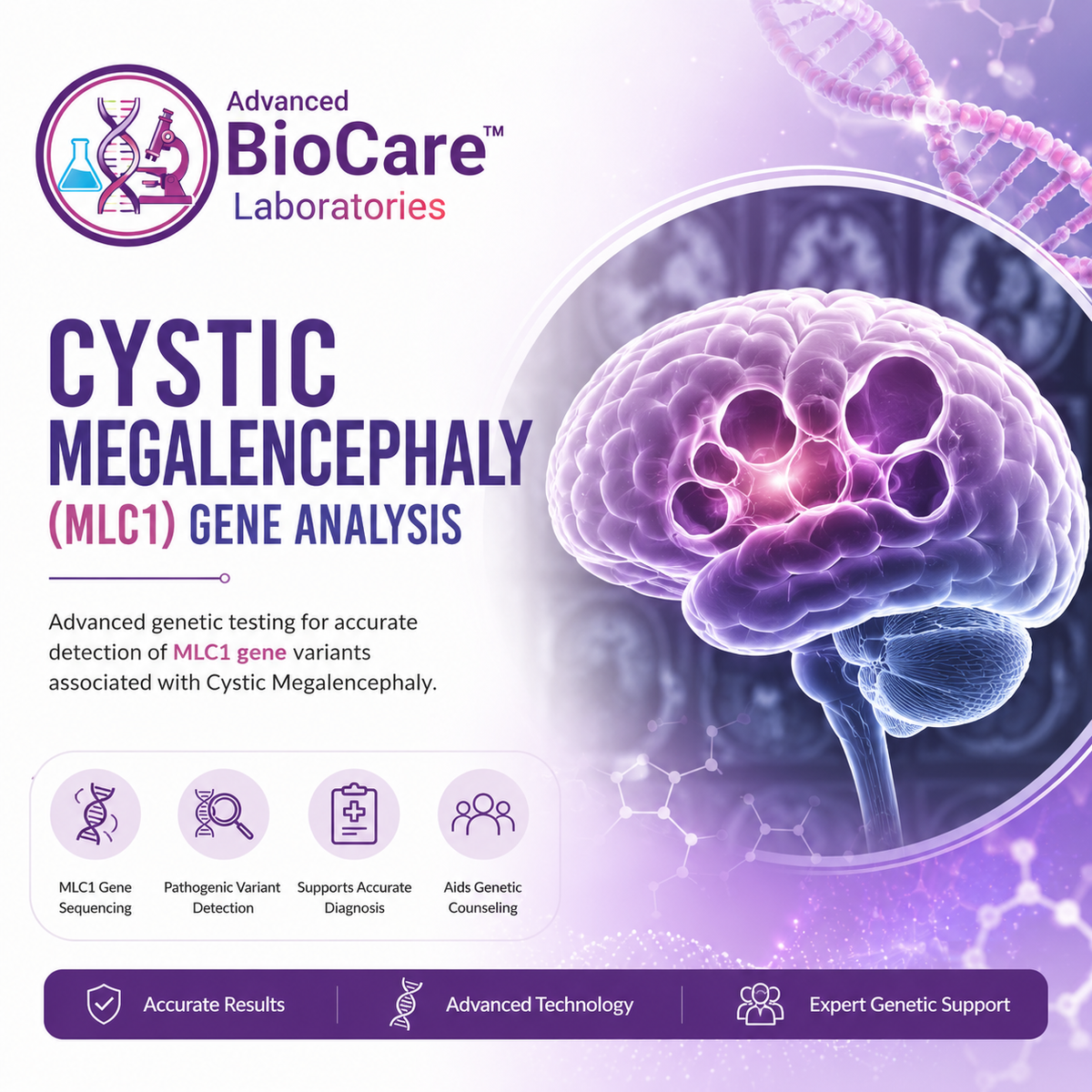Cystic megalencephaly (MLC1) gene analysis