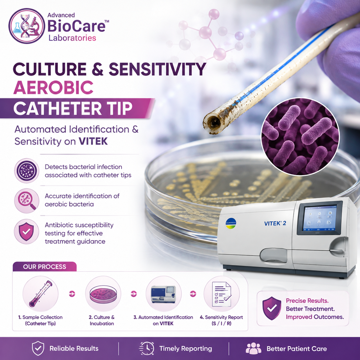 Culture & Sensitivity, Aerobic, Catheter Tip- Automated Identification & Sensitivity on Vitek