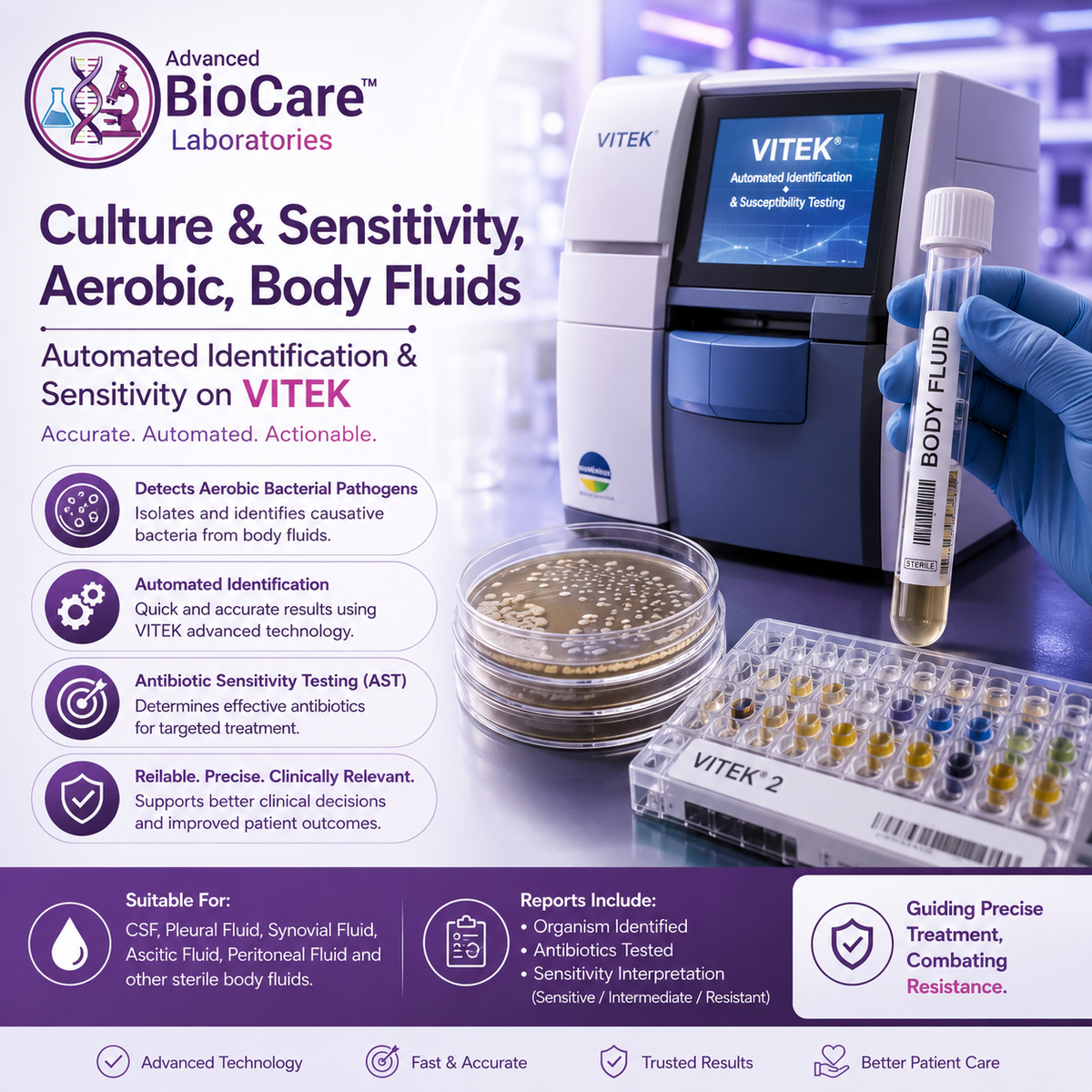 Culture & Sensitivity, Aerobic, Body Fluids- Automated Identification & Sensitivity on Vitek