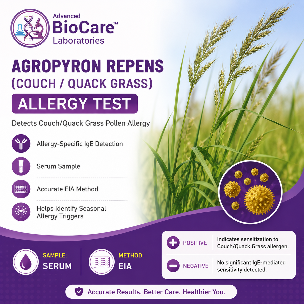 Allergen - AGROPYRON REPENS (COUCH (QUACK) GRASS) by EIA, Serum