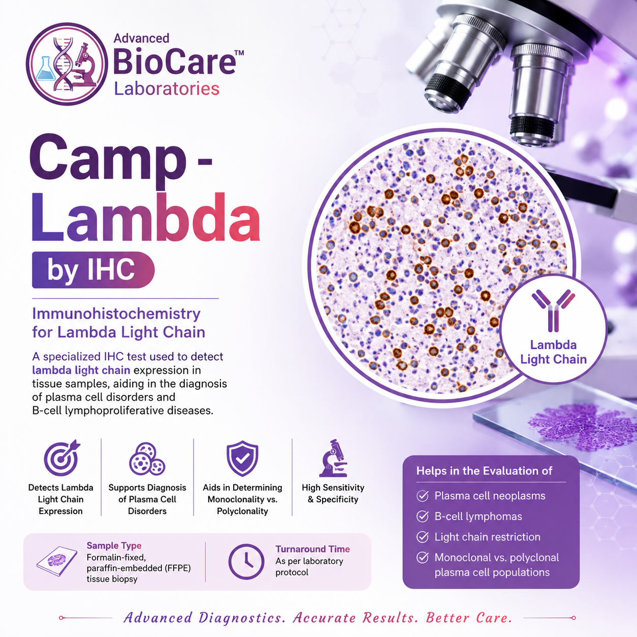 Lambda by IHC