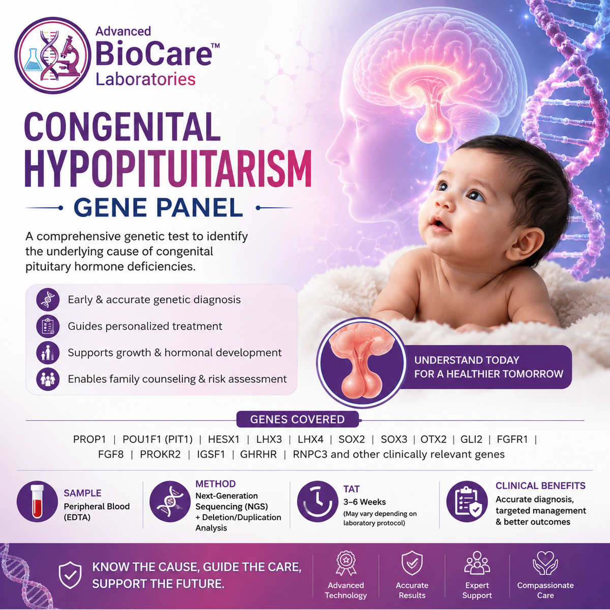 Congenital hypopituitarism gene panel