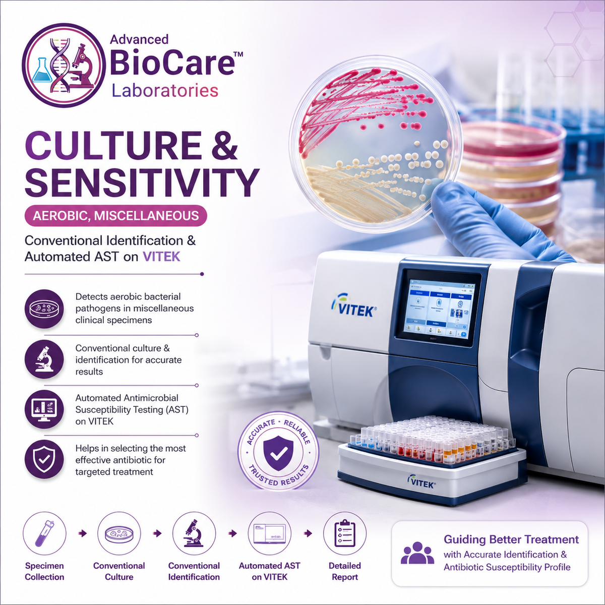 Culture & Sensitivity, Aerobic, Miscellaneous- Conventional Identification & Automated AST on Vitek