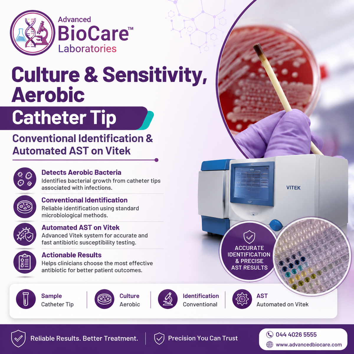 Culture & Sensitivity, Aerobic, Catheter Tip- Conventional Identification & Automated AST on Vitek