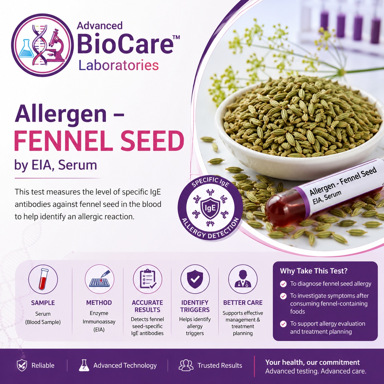 Allergen - FENNEL SEED by EIA, Serum